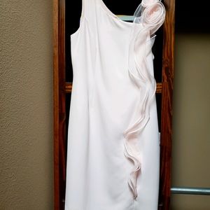 Dress.. I've never worn it. Had it dry cleaned for